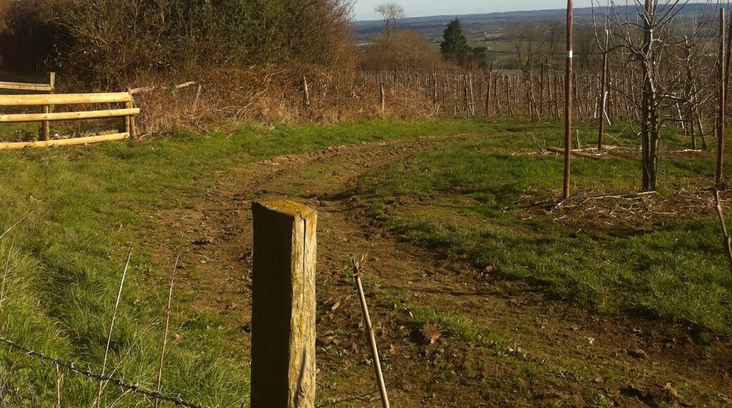 Photo by Melissa Cooke