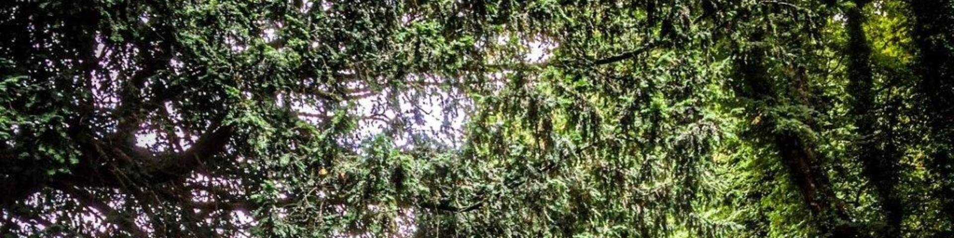 Pump House, Swanbourne House, Arundel