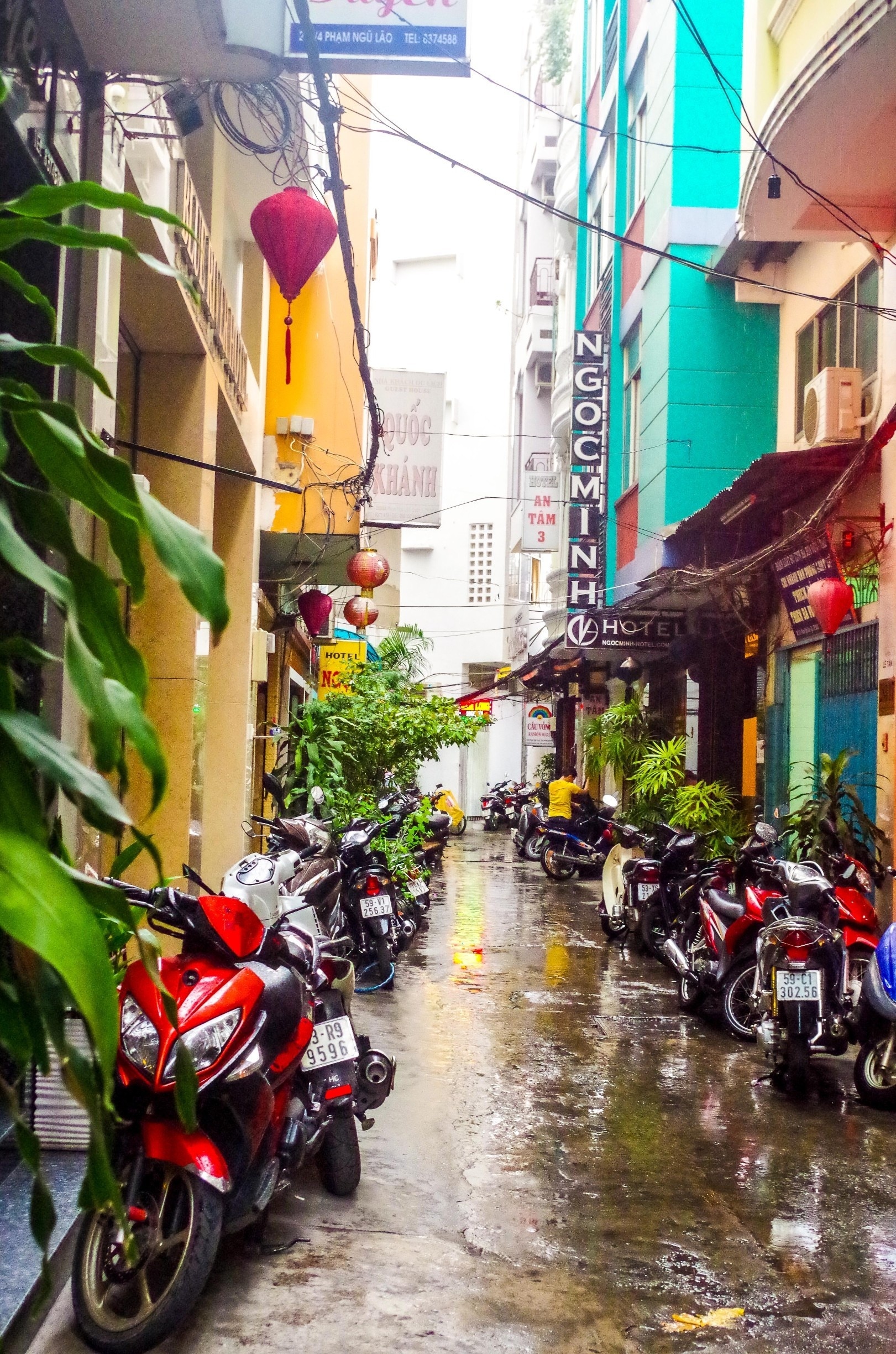 Ho Chi Minh City looks to cash in on new travel trends, Travel