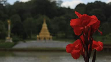 Beautiful gardens just outside a ridiculously charming hill town in central Burma/Myanmar 