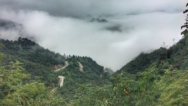 莽山国家森林公园, 湖南, Mangshan national park, China #nationalpark #hiking #mountains #travel #nature