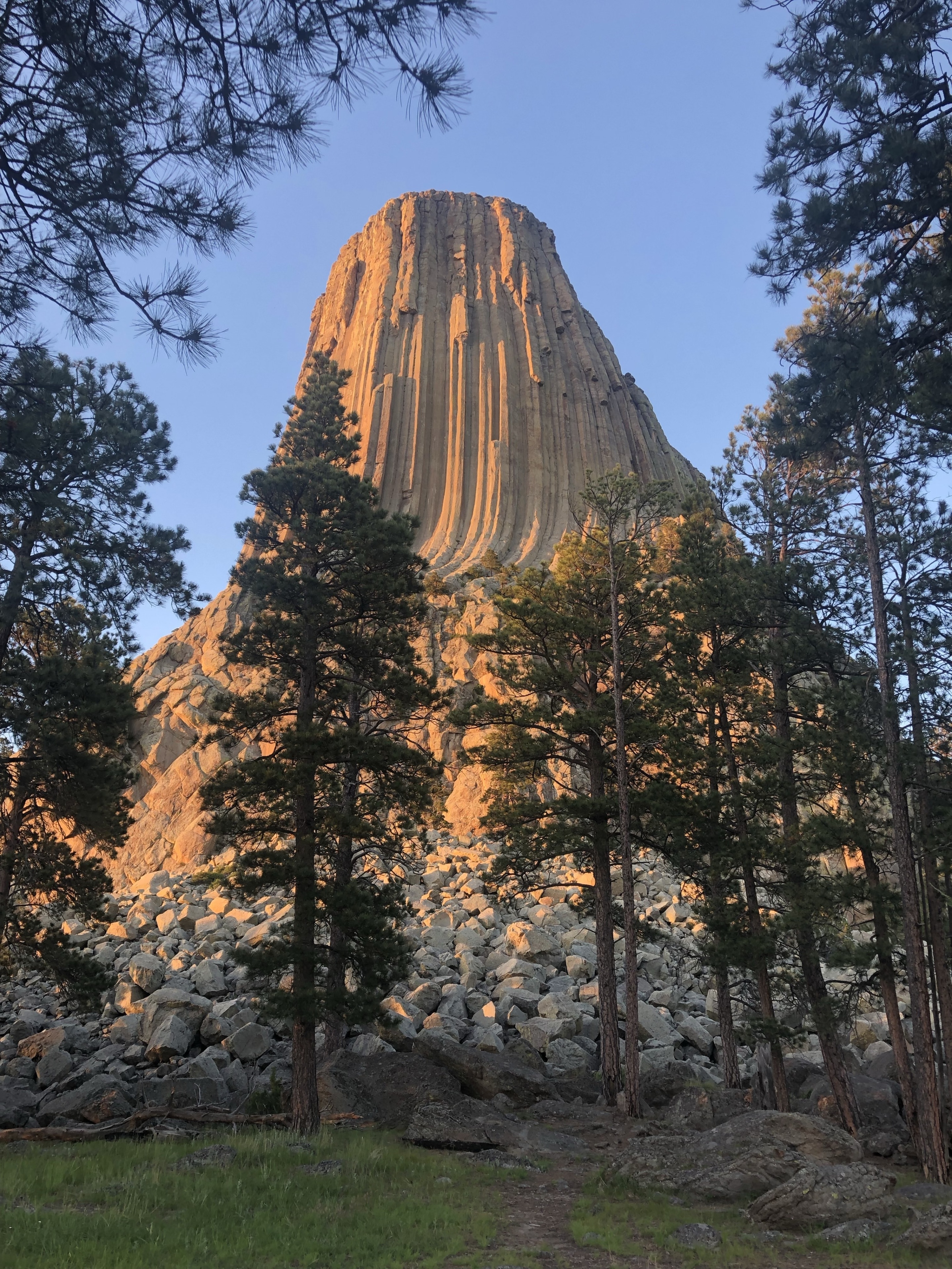 are dogs allowed at devils tower