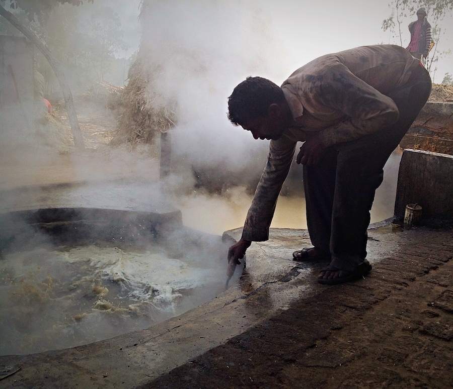 Working hard to make pure jaggery