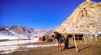 Still in the country side of Mongolia!!