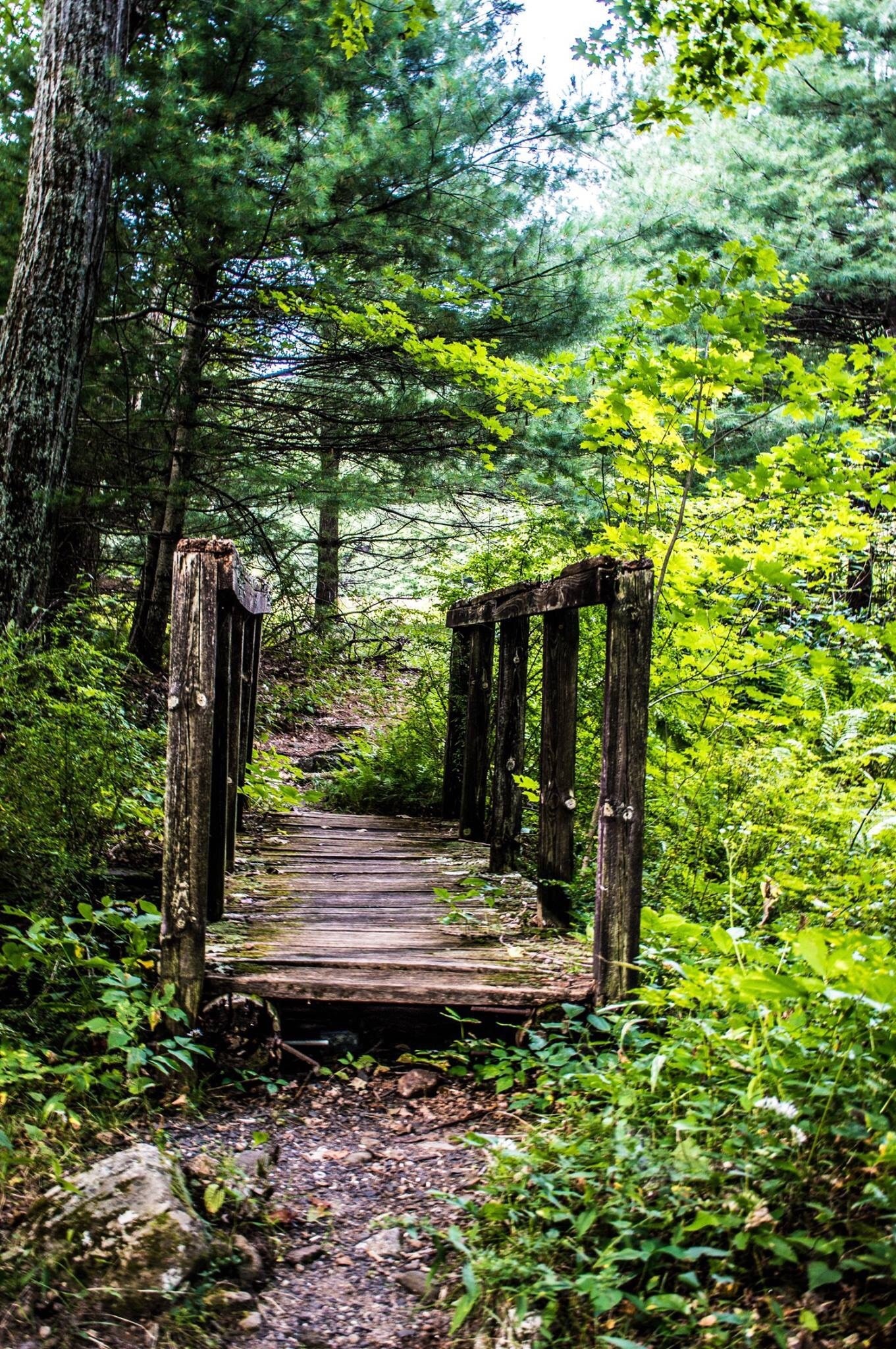 Forêt d'État Enders, West Granby, Connecticut, États-Unis d'Amérique