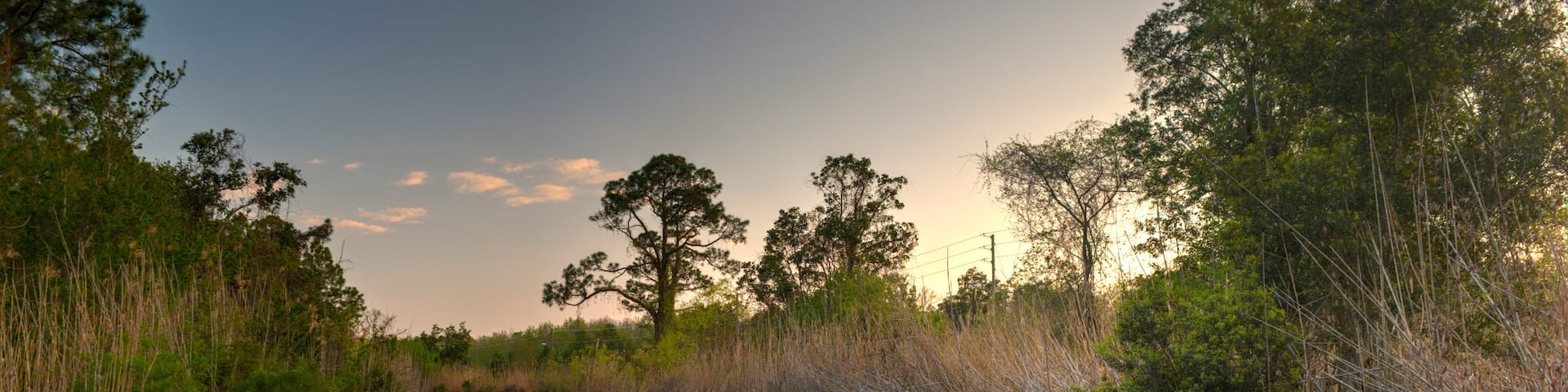The railroad tracks along Scenic Bluffs are tucked along the side of Scenic Highway on the east side of Pensacola. Some homeless and hipsters hang out around these parts but it's a nice spot for some solitude. You can take a swim in Escambia Bay by walking just a minute down the tracks from here. #Pensacola #Florida #Railroad #ScenicBluffs