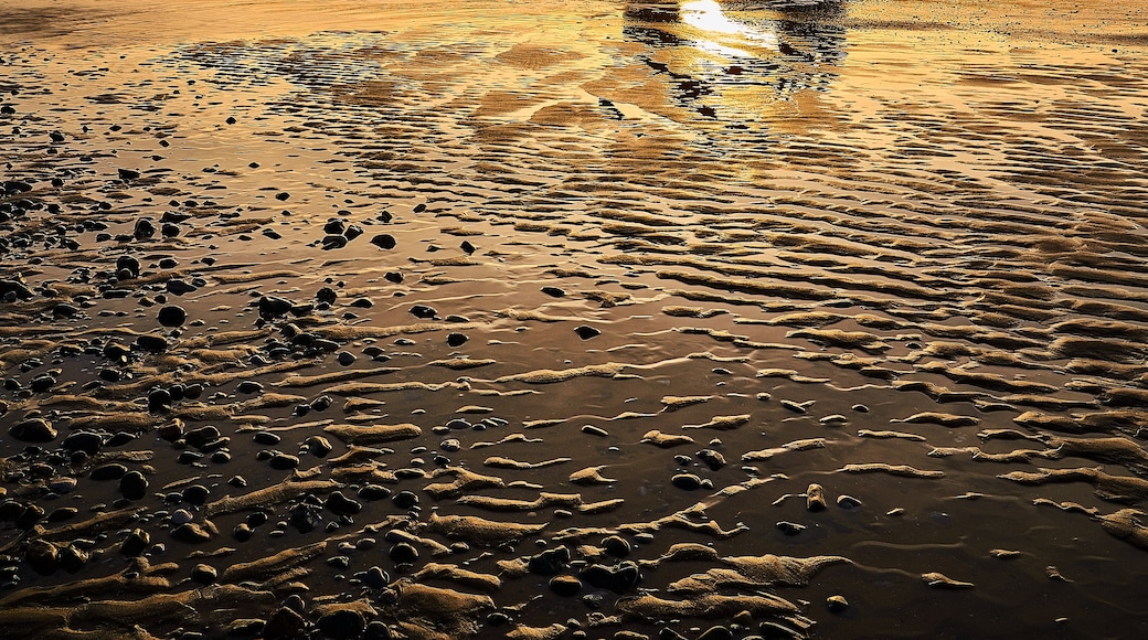 Photo de Christopher Kendrick