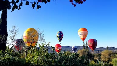 Hot air balloon