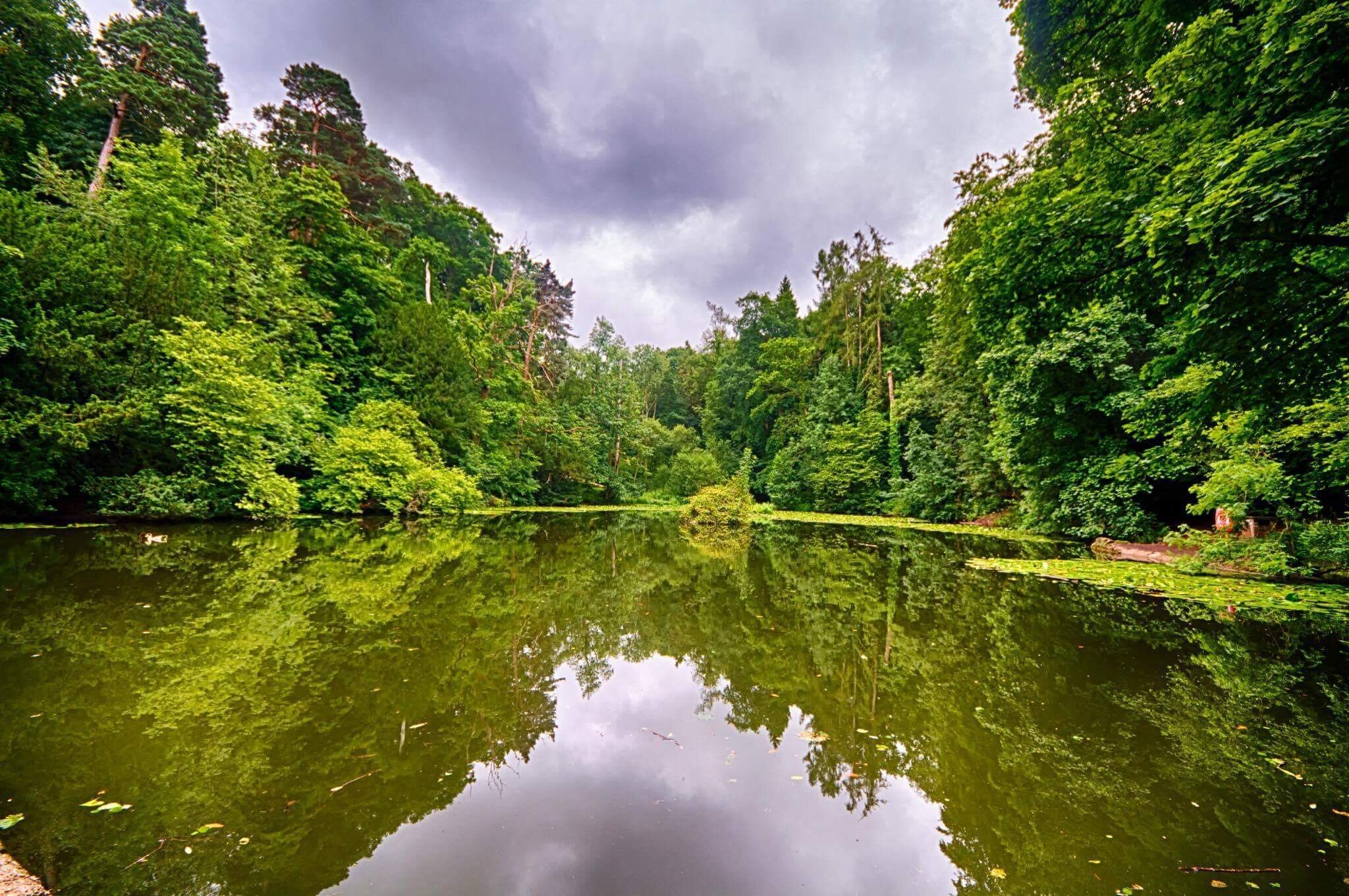 Foto von Shayne Gillard