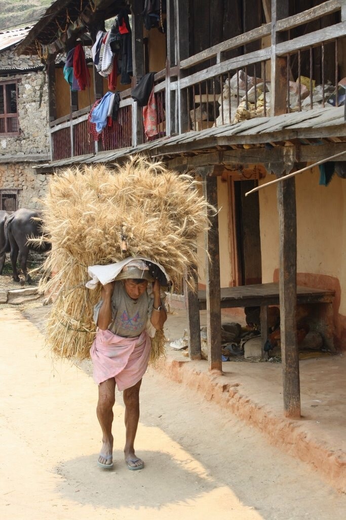 It's a hard life for daily wage earners in Nepal. This guy will earn about 100 NRs per day which is less than £1.