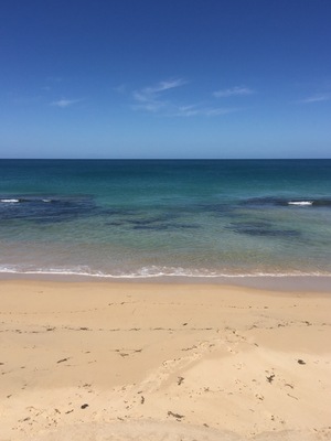 The ocean we like to call our own. Soft sand and crystal blue water. My favorite place in summer. Good fishing and swimming. West Australian Beaches at their finest.