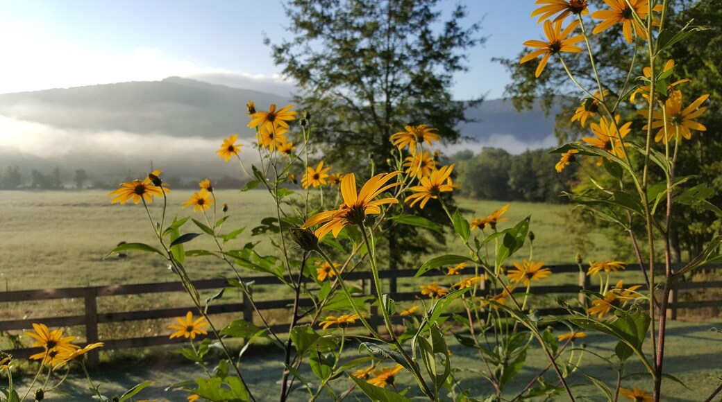 Foto por Barbie Winkler