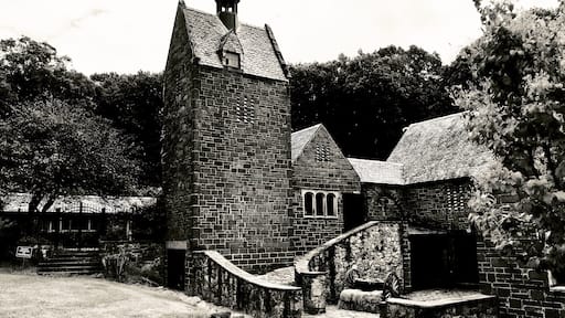 Ảnh của Sidney KatKaZoom