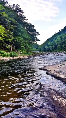 Early Morning Fishing.