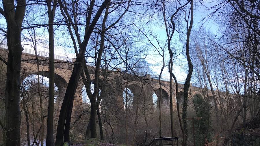 Muiravonside Country Park