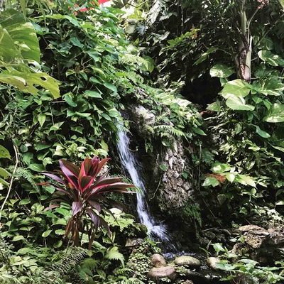 #red #waterfall #jamaica
Beautiful location in Port Antonio! Jamaica has much to explore. #Geejam hotel is off the beaten path but boutique luxury.