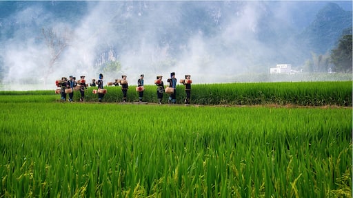 사진 제공: Beautiful Guangxi