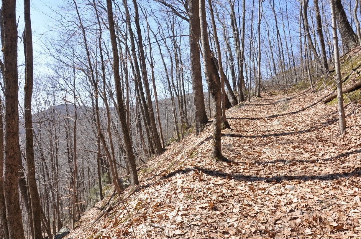 A segment of Undermountain Trail leading up to the Appalachian Trail, which then leads to the summit of Bear Mountain, the tallest peak in Connecticut.  (The highest point in CT is a point on the slope of a mountain that actually peaks in Massachusetts.)