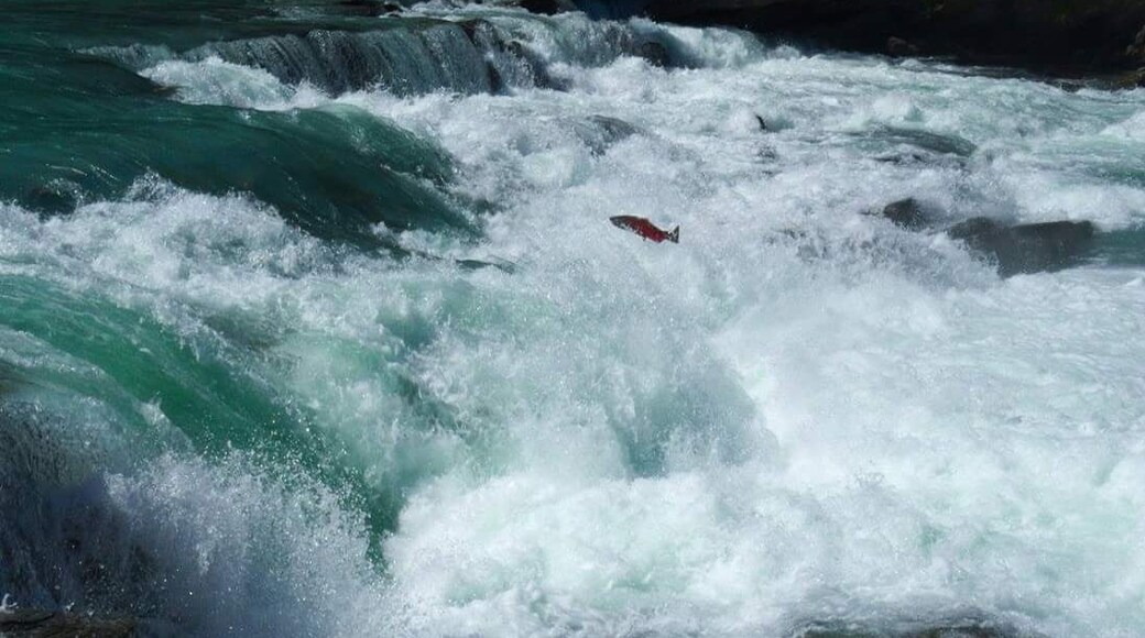 Photo by janine verhaegh