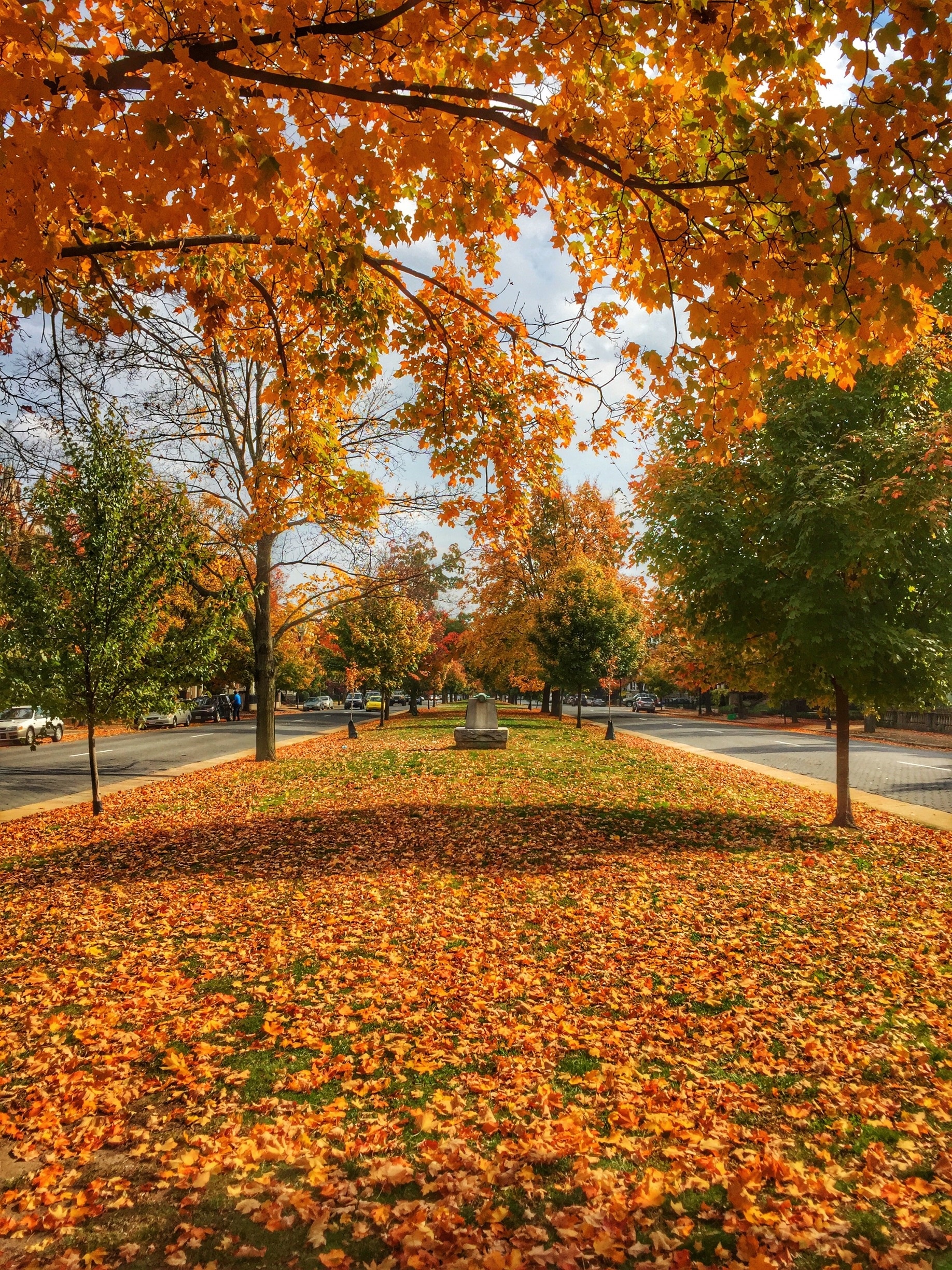 Monument Ave in the fall. 