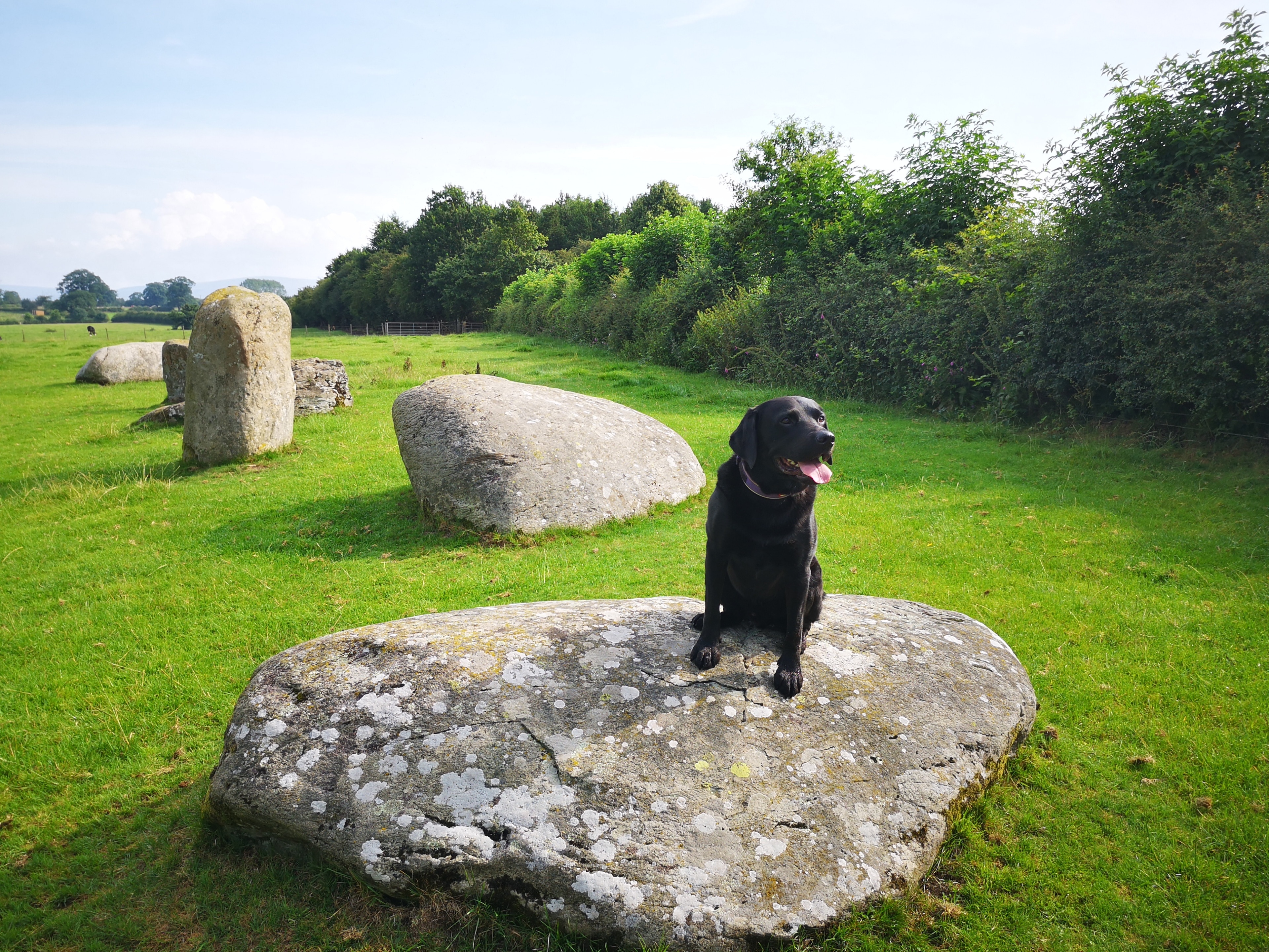 Druid stone circle, the second biggest in the UK after Stonehenge.