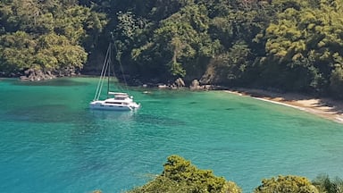Beautiful pairing  of the caribbean sea and the Tobago forrest!
