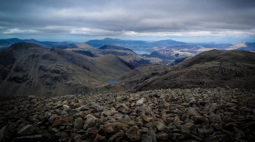 Billede taget af Davey Currie