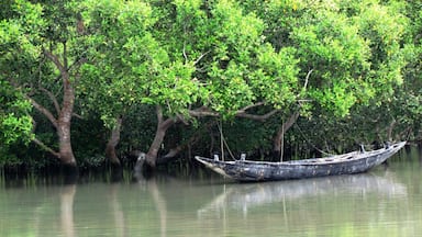 Sundeban-One of the Best known Mangrove Forest in the World and the Habitat of the famous Royal Bengal Tiger
