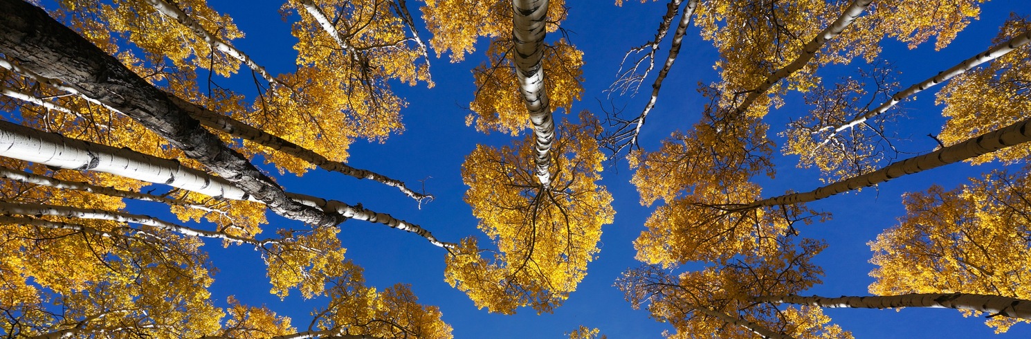 Nathrop, Kolorado, Birleşik Devletler