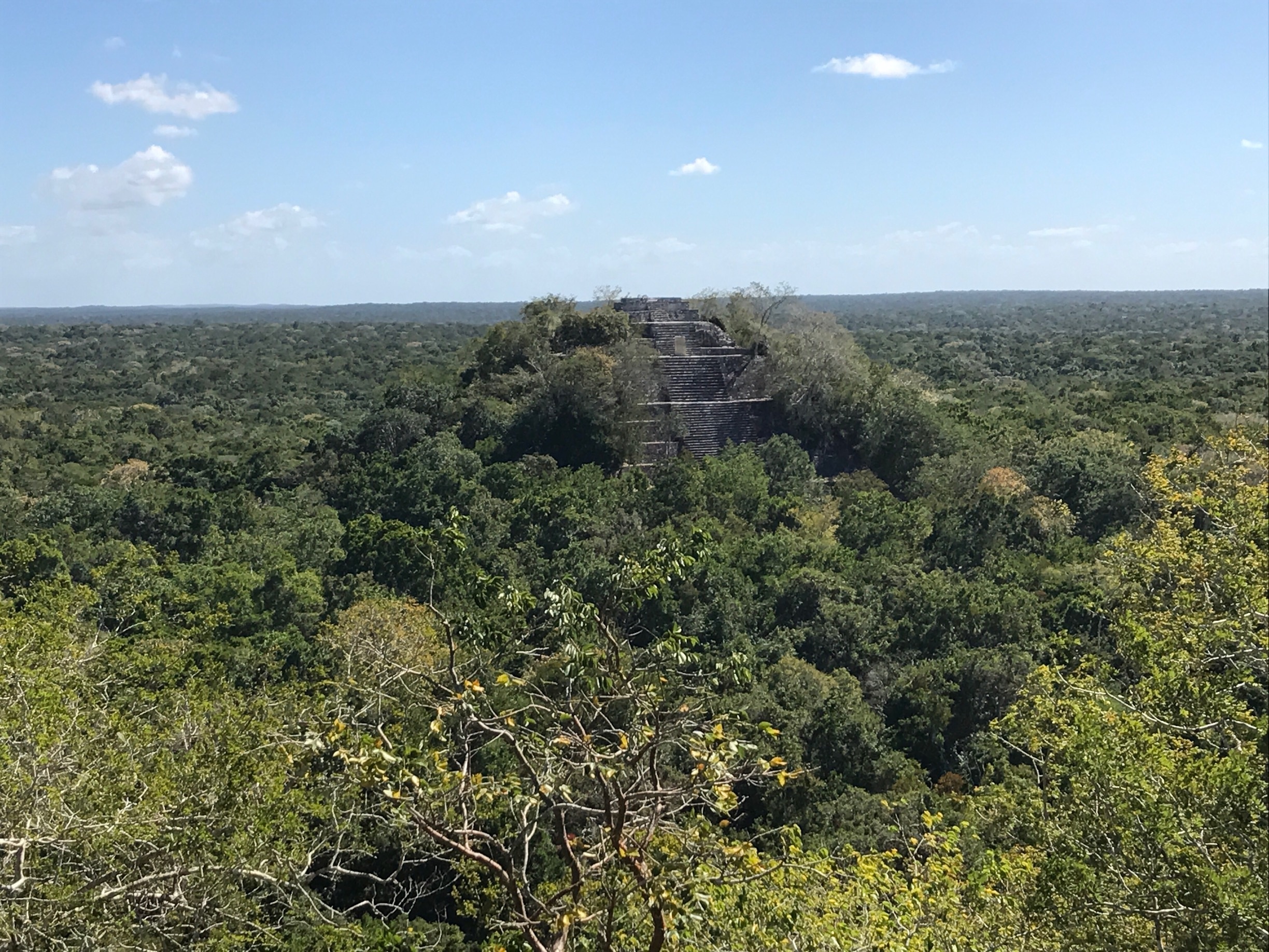 #calakmul #mayacivilization #mayanruins #pyramid #precolonialmexico #yucatanpeninsula #biospherereserve #jungle
