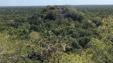 #calakmul #mayacivilization #mayanruins #pyramid #precolonialmexico #yucatanpeninsula #biospherereserve #jungle