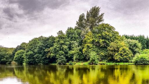 Photo by Terry Shave