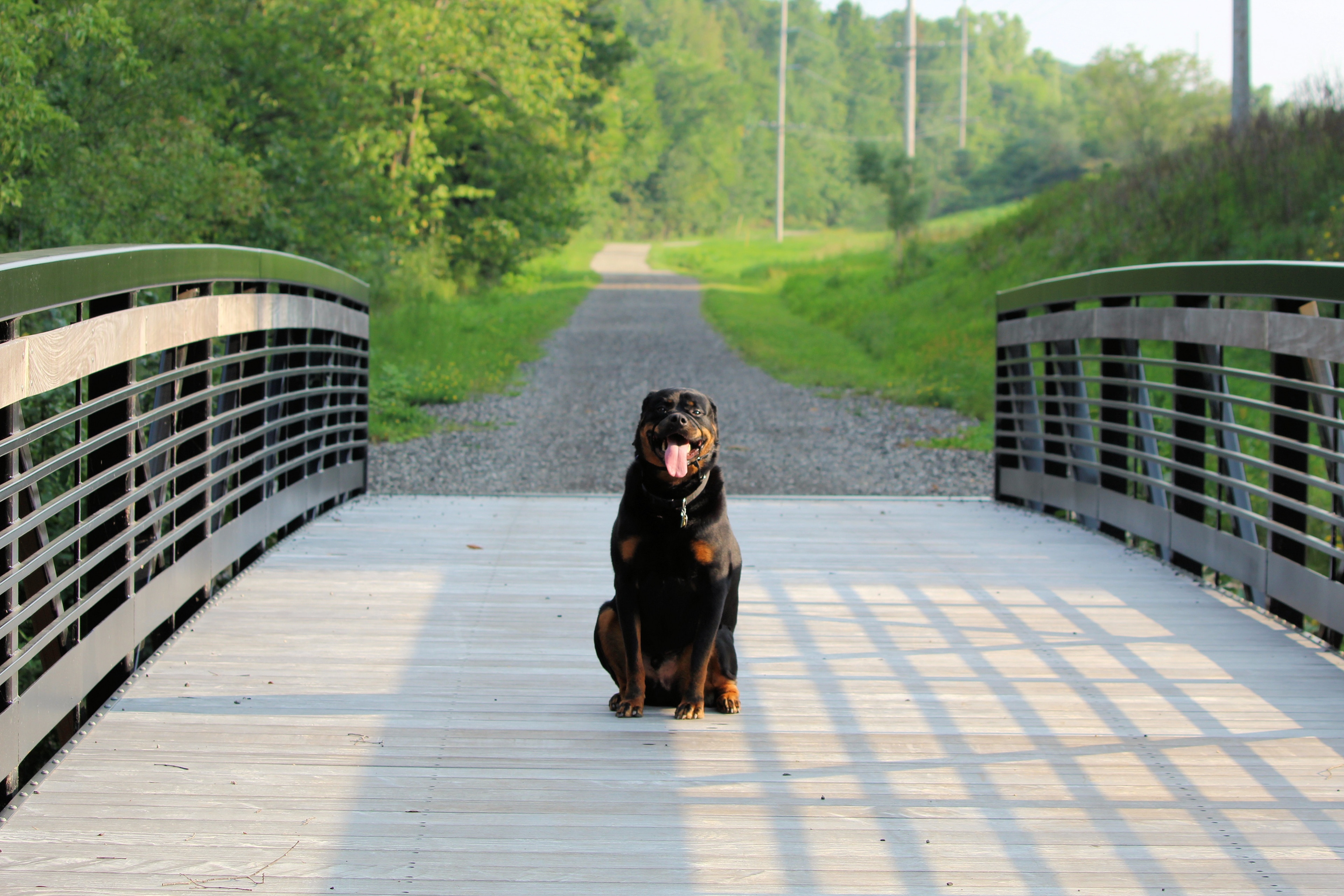 Visit Kaukauna 2021 Travel Guide for Kaukauna, Wisconsin Expedia