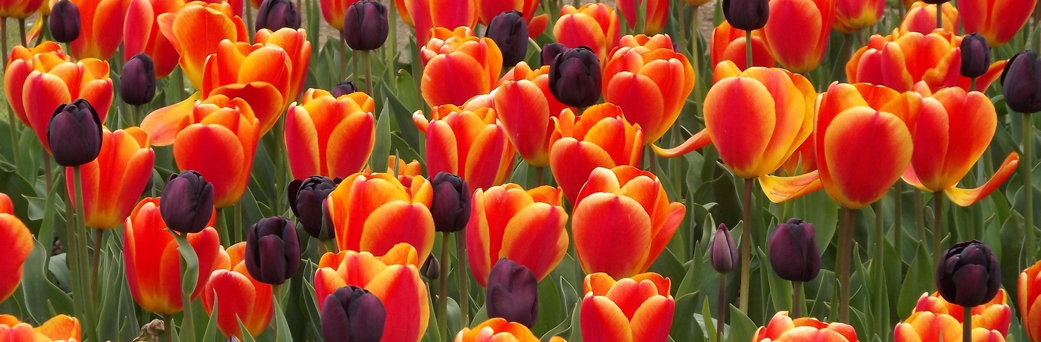 Derby, United Kingdom