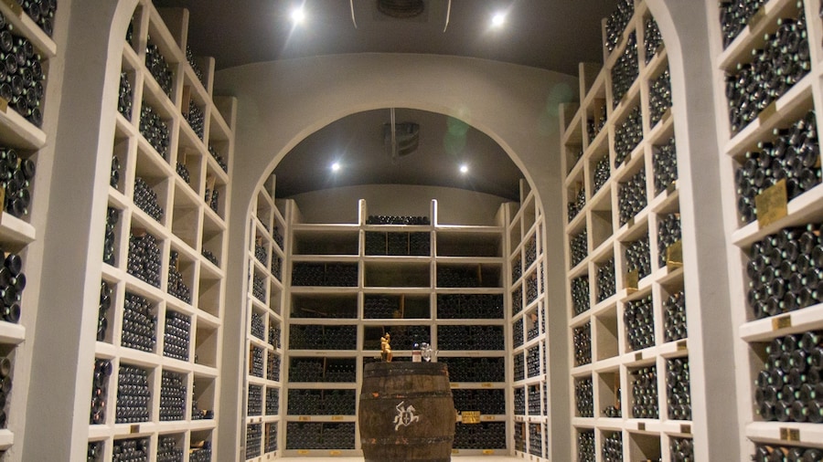Nice place for a visit and #wine tasting
