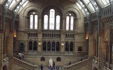 ロンドン自然史博物館 ロンドン エクスペディア ロンドン自然史博物館 ロンドン エクスペディア