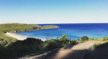 Beautiful South Coast beach in Australia 🌊