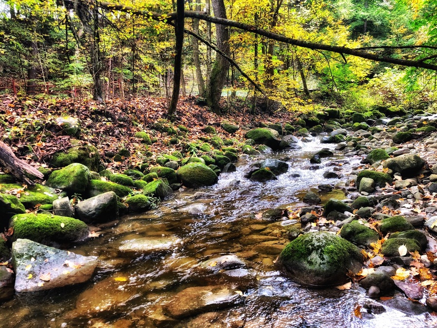 Besides (not-so) still waters.
The brook in the ravine of Martyrs’ Shrine. Somewhere, in the fields, the bones of two great martyrs are buried.