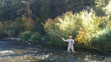 Hired a river guide out of the Elkhorn fly shop and spent the day flyfishing the swift waters of the Big Thompson River for Browns and Rainbows.