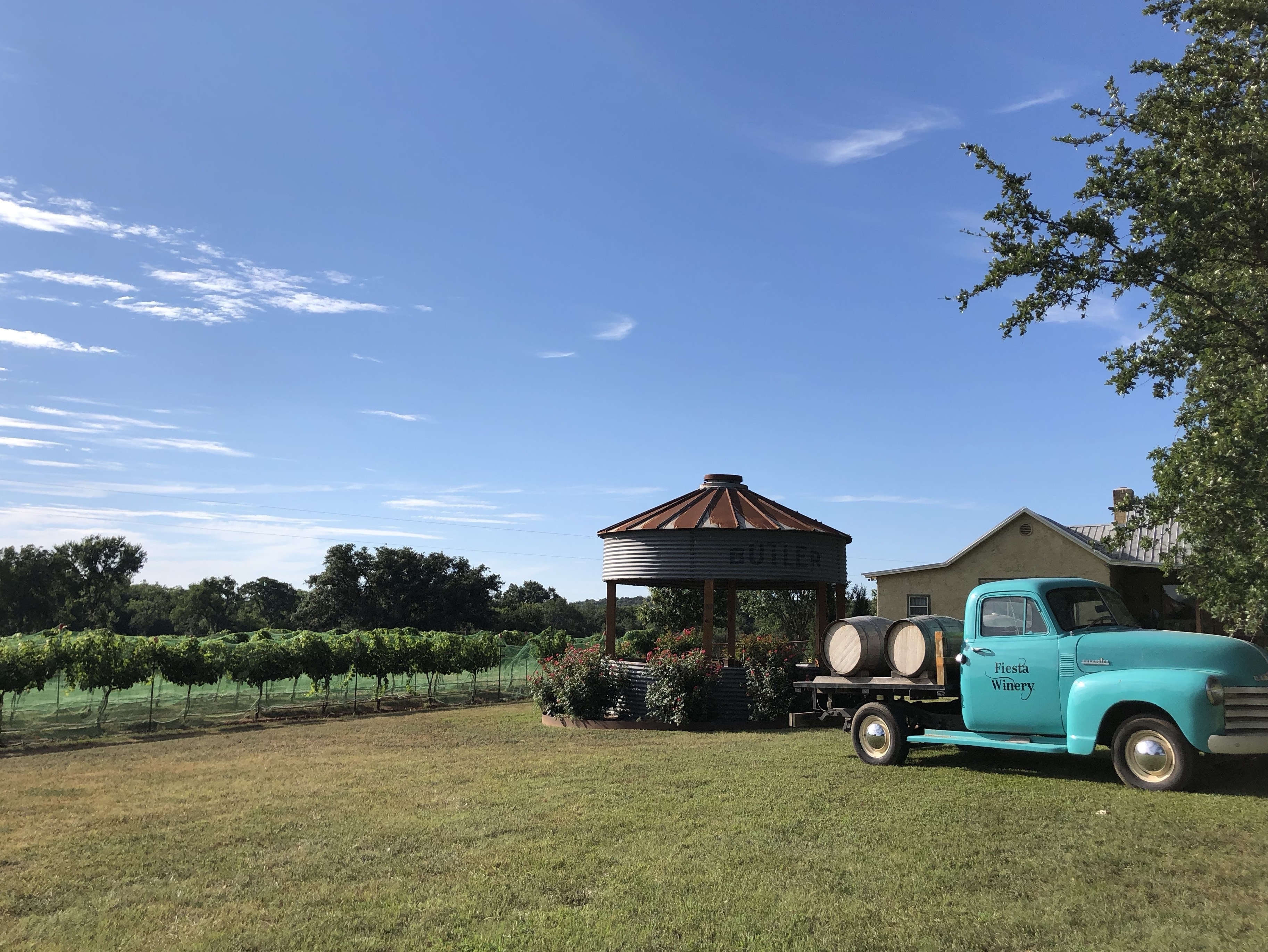 A destination winery in the drive to Colorado Bend State Park. Serves up assorted Fiesta wines and wood-fired pizzas.  Very little cell service, if any, makes it possible to unplug and enjoy the sites.