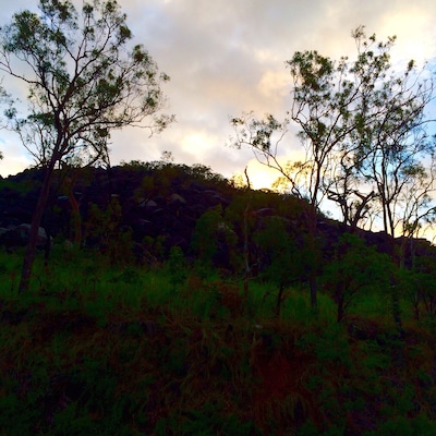 Black Mountain National Park lies about 25 kilometres southwest of Cooktown in #FarNorthQueensland, #Australia.
The park is significant for its granite boulders formed from magma 250 million years ago and also the cultural landscape to Australian Aboriginals, known as 'place of spear'.
This picture was taken in the fading light of day with my trusty iPhone5s.
Black Mountain #NationalPark
#goldenhour
