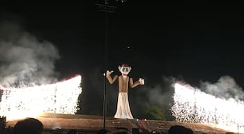 The annual burning of Zozobra