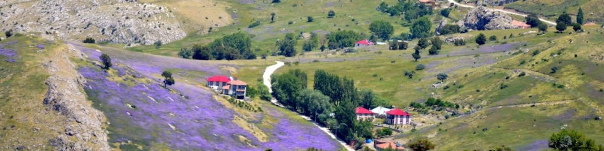 Travel photo of the day 01. #Kırkısrak is a picturesque village in central #Turkey. It's about 160km from the city of #Kayseri.
#wanderlust #hiking http://www.borderlass.com/turkey-exploring-kirkisrak/