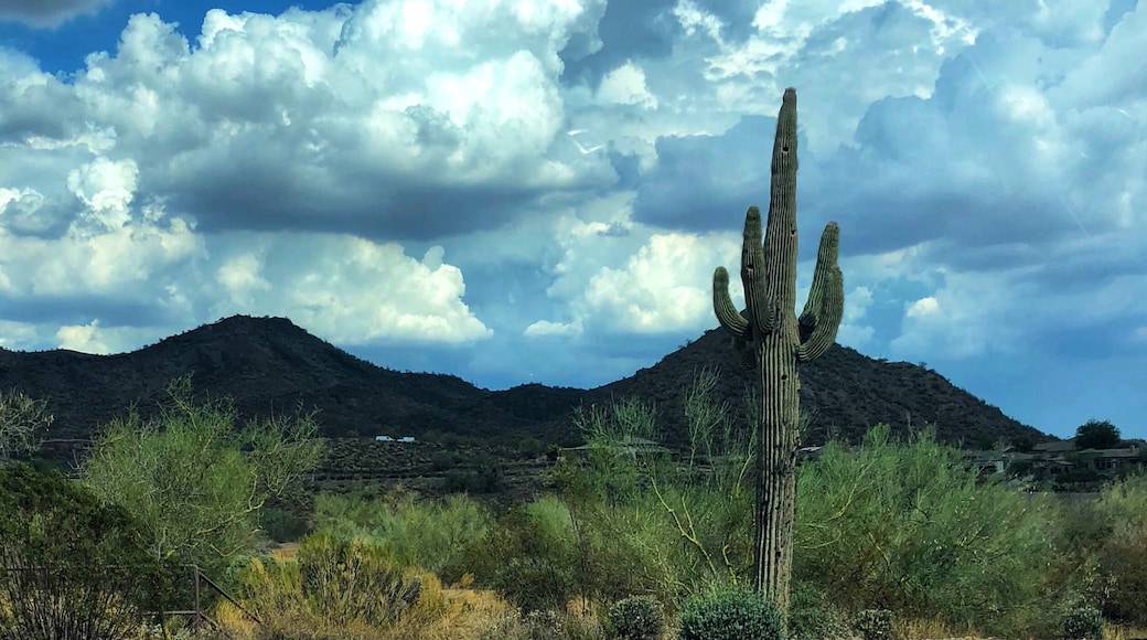 Tramonto, Phoenix, Arizona, United States of America