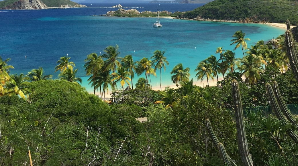 Sprat Bay, Other Islands, British Virgin Islands