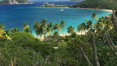 If you have to be stranded on an island... might as well make it Peter Island in the BVIs

#LifeatExpedia #beaches #bvi 