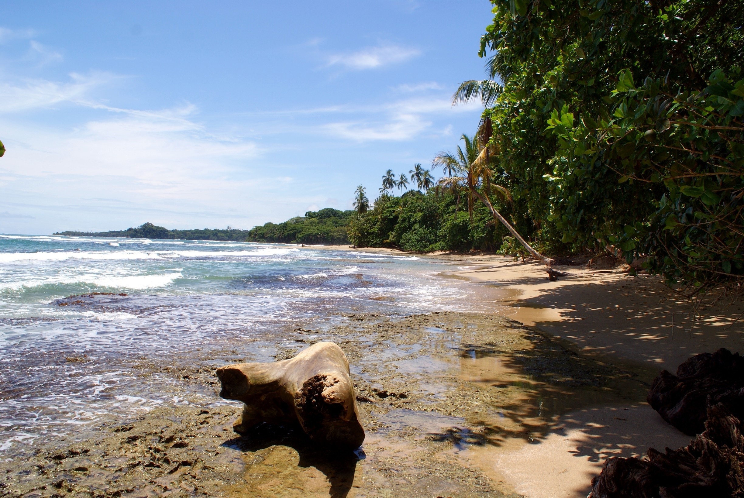 Beautiful, if a bit rough, beach in southern Costa Rica. #beach 