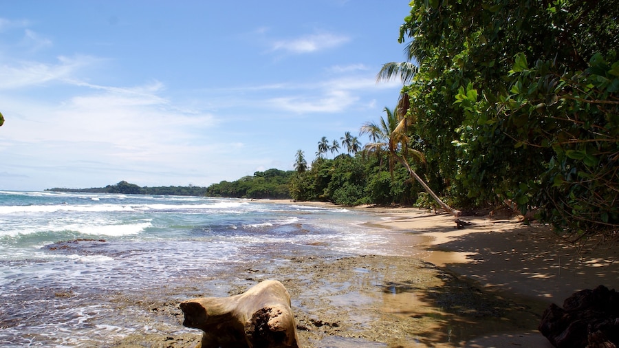 Beautiful, if a bit rough, beach in southern Costa Rica. #beach