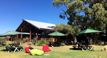 Cullen Wines in #MargaretRiver #Australia is a fabulous spot for a lazy lunch. Organic produce, welcoming garden and amazing wine :) 