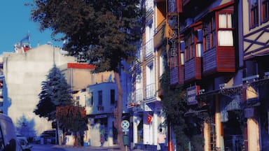 Down town Sinop